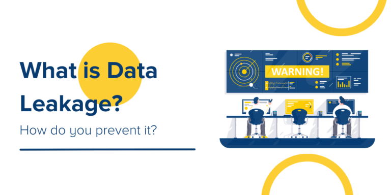 What is Data Leakage